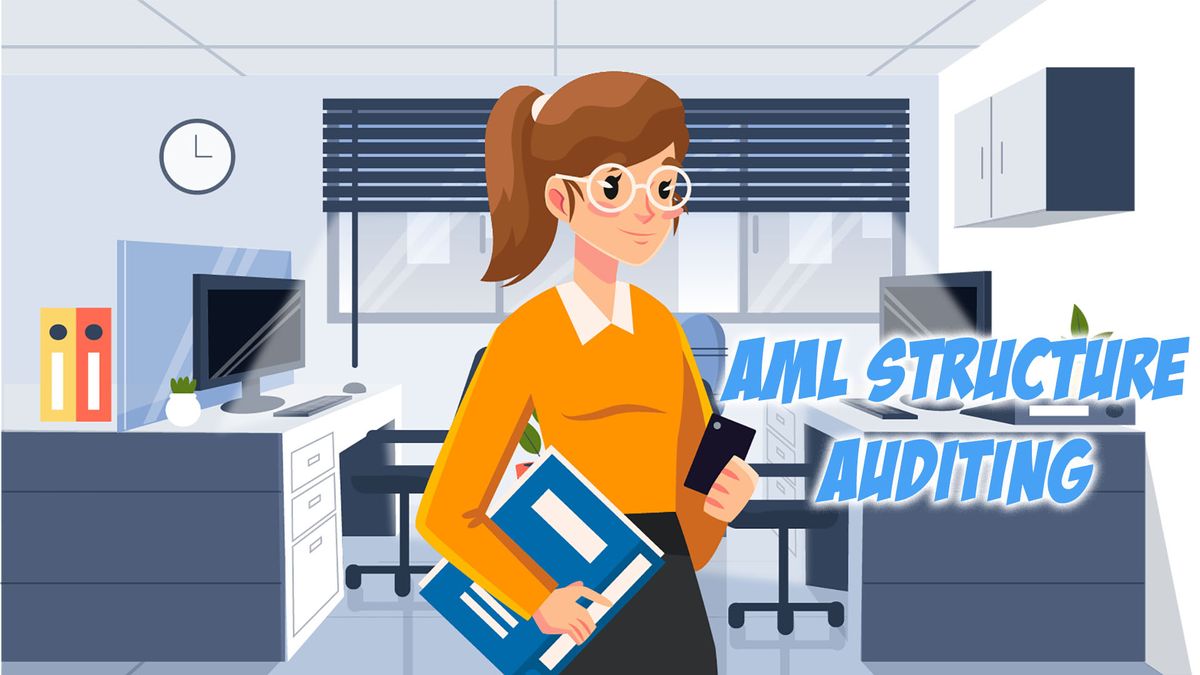 AML Structure Auditing