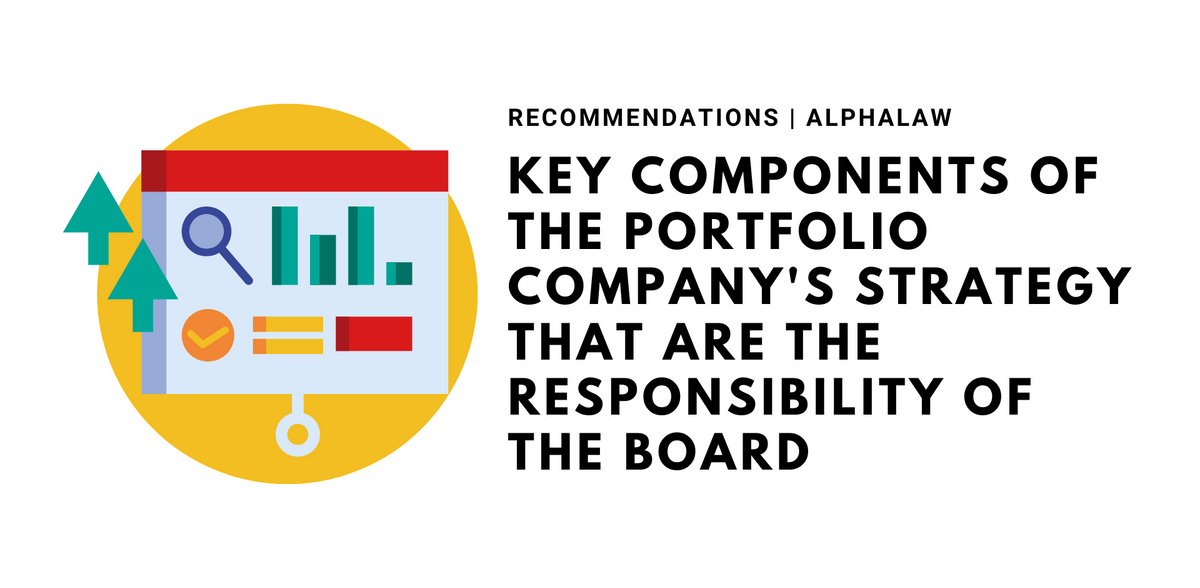 Key Components of the Portfolio Company's Strategy That are the Responsibility of the Board